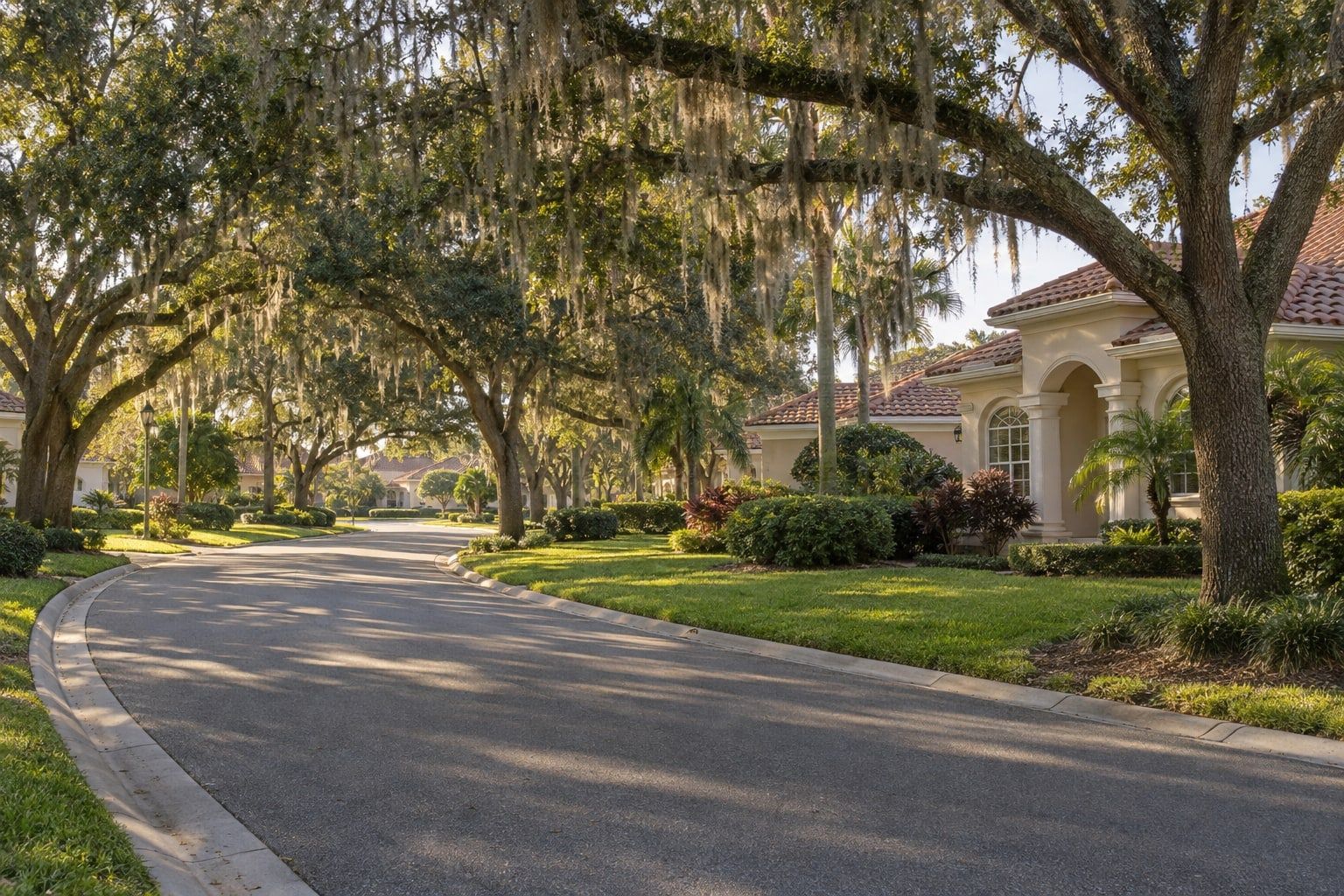 A curving residential street under tall live oaks draped in Spanish moss, with a stucco house with a tile roof at the right